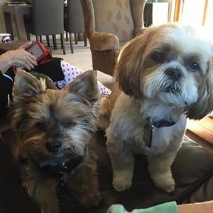 Meet your Posher, Julie